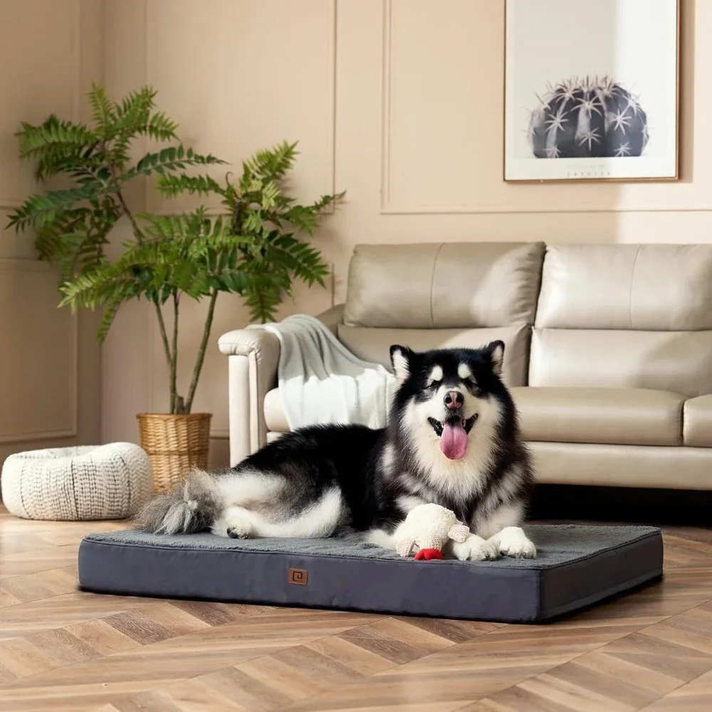 XL Orthopedic Dog Bed for Large Dogs - Ultimate Comfort and Support 44x32